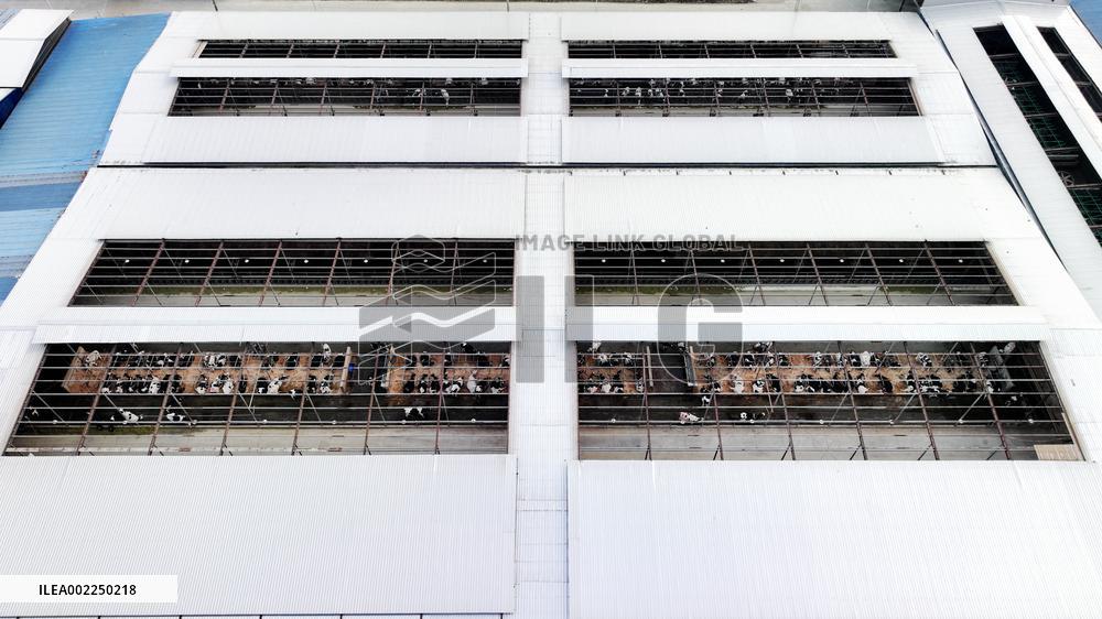 A Dairy Company in Haian