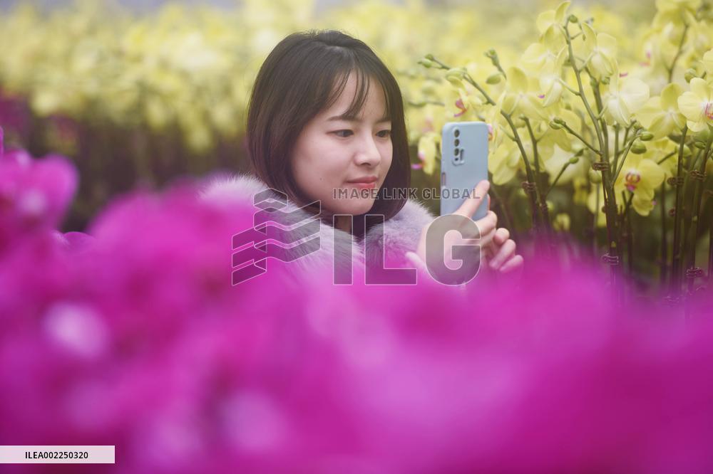 A Digital Agriculture Factory in Hangzhou