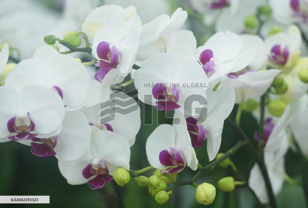 A Digital Agriculture Factory in Hangzhou