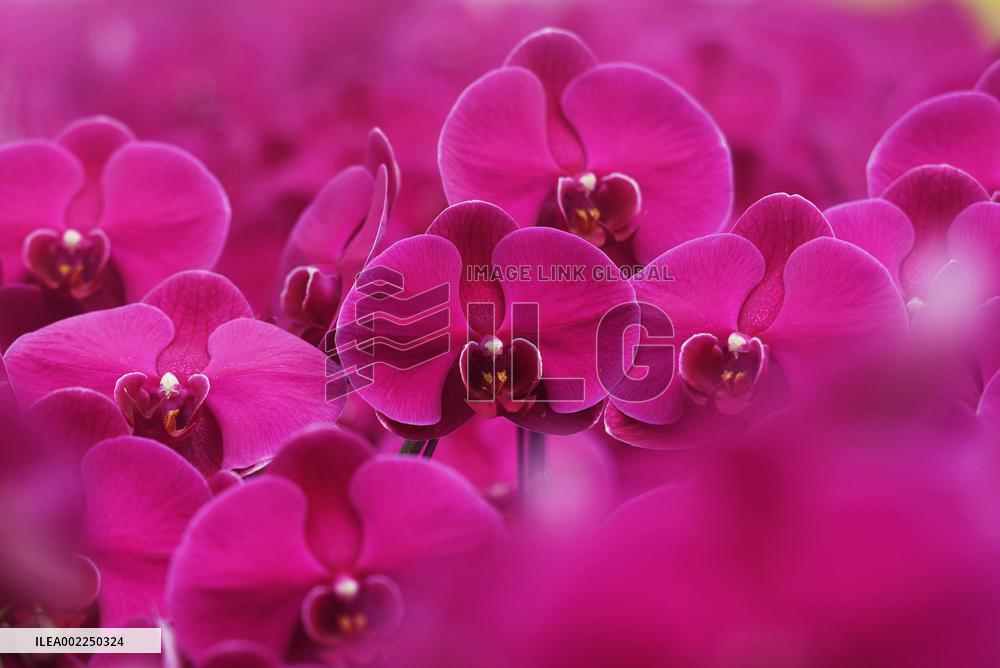 A Digital Agriculture Factory in Hangzhou