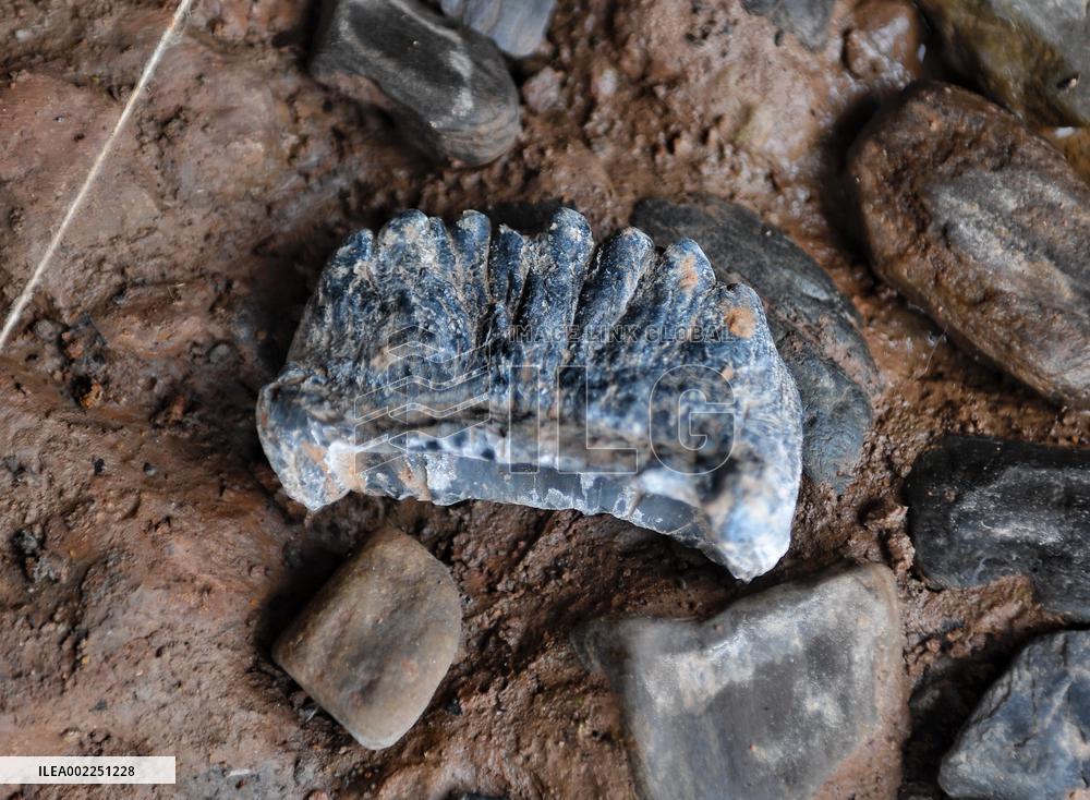 CHINA-SICHUAN-ZIYANG-MENGXIHE SITE-ARCHAEOLOGICAL DISCOVERY (CN)