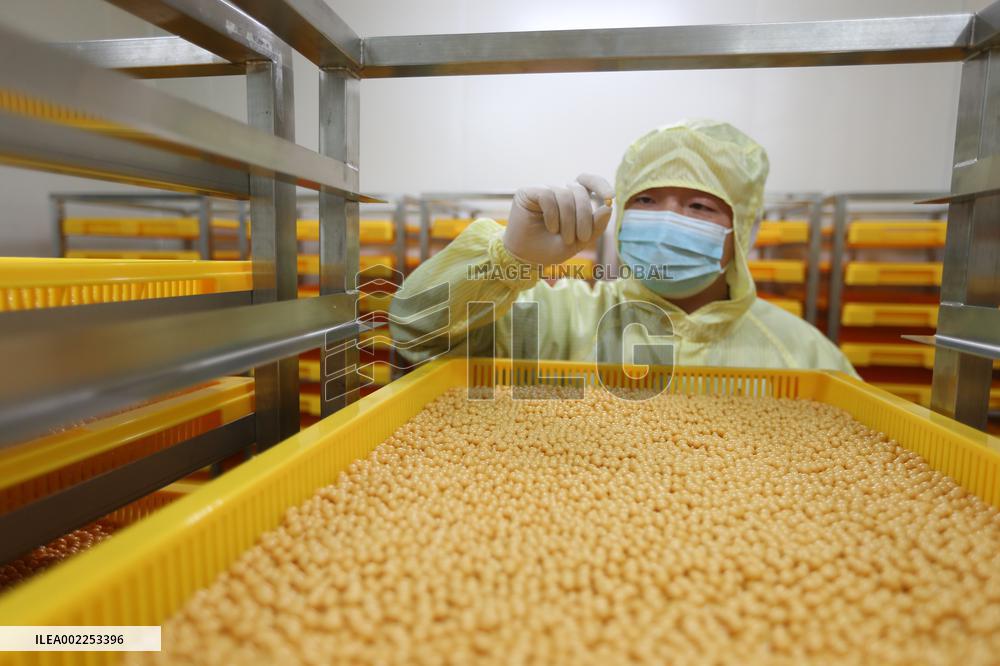 A Pharmaceutical Company Workshop in Meishan