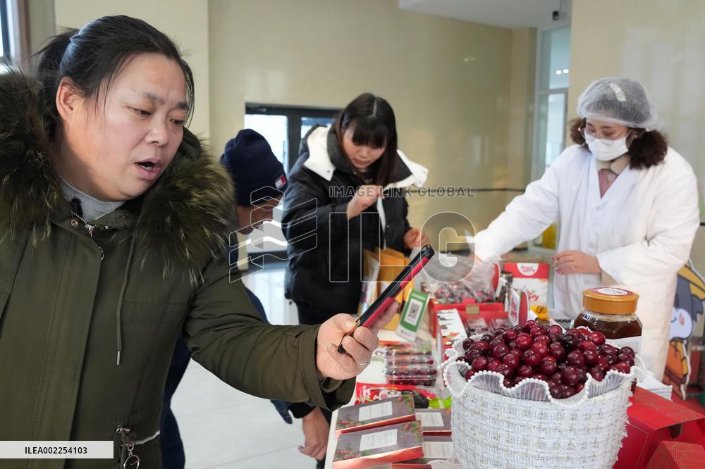 CHINA-HEILONGJIANG-FUYUAN-CRANBERRY PLANTING(CN)