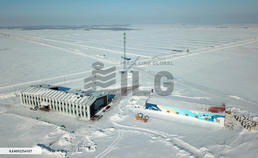 CHINA-HEILONGJIANG-FUYUAN-CRANBERRY PLANTING(CN)