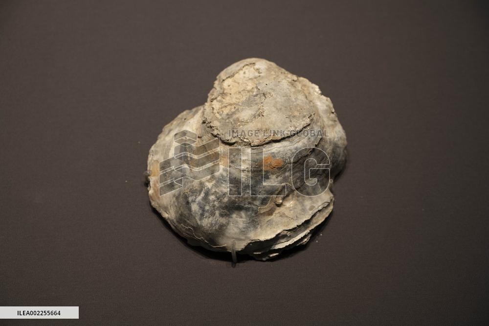 A Collection on Display at Zhijiang New Hall of Zhejiang Provincial Museum in Hangzhou