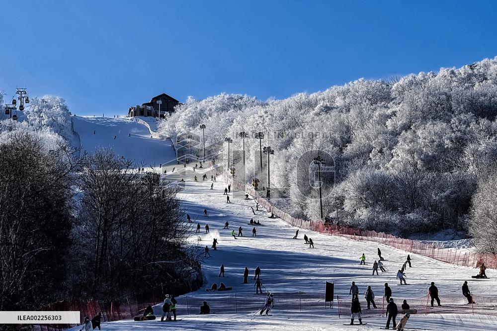 Xinhua Headlines: Essential travel guide to Chinese New Year for foreigners