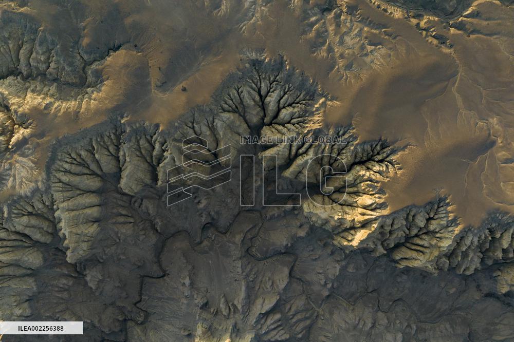 CHINA-XIZANG-ZANDA-EARTH FOREST (CN)