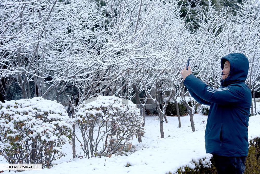 Heavy Snow Hit Zaozhuang