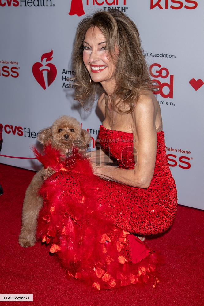 AHA Red Dress Collection - NYC