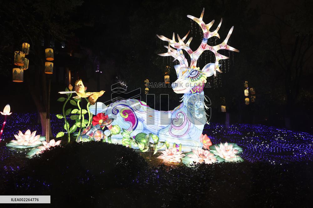 Visitors View Lanterns at Bailuzhou Park in Nanjing