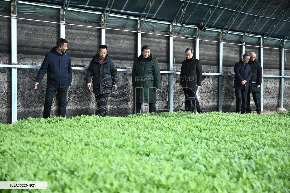 CHINA-TIANJIN-XI JINPING-SPRING FESTIVAL-INSPECTION (CN)