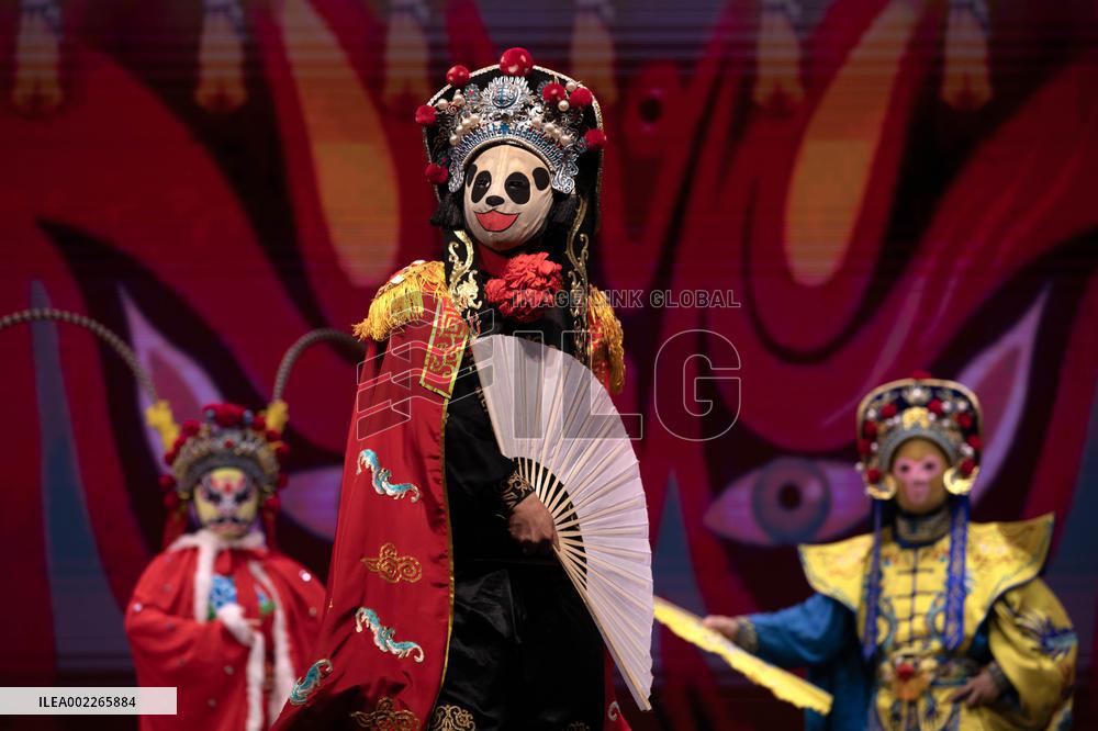 ARGENTINA-HAPPY CHINESE NEW YEAR-PERFORMANCES