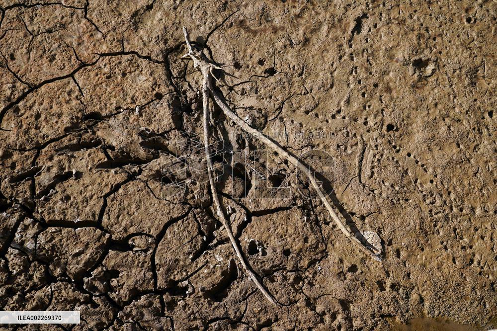 Extreme Drought In Malaga - Spain