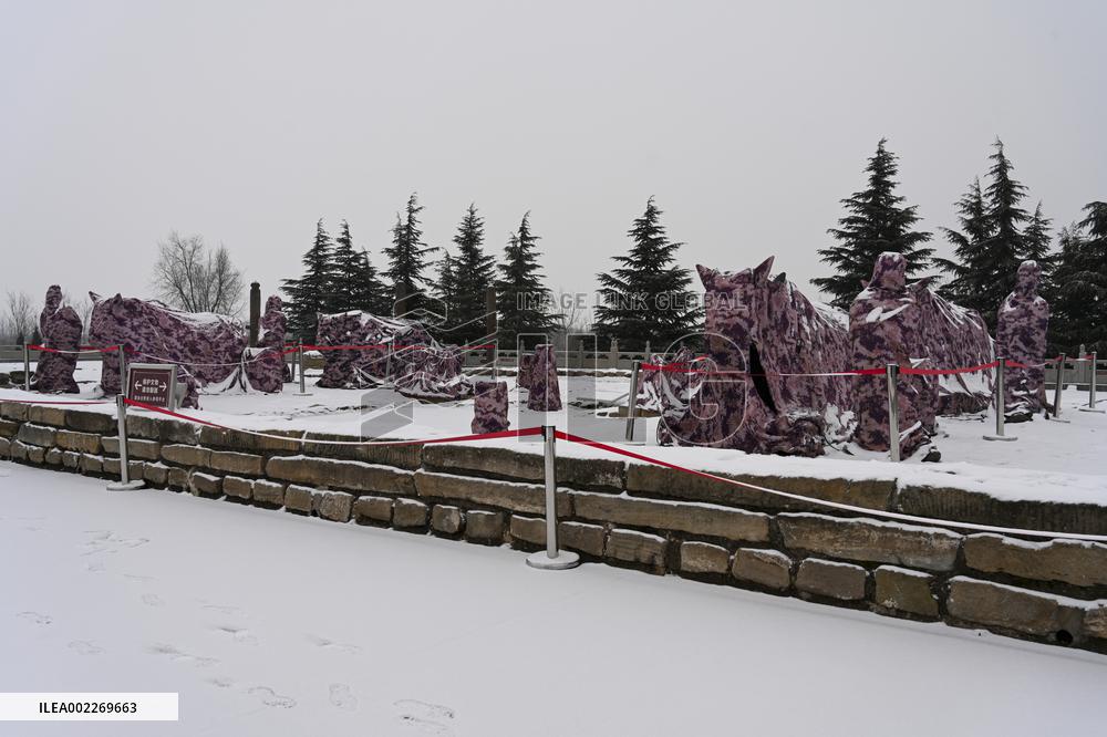 Tang Dynasty Iron Cattle Covered With  Smock in Yongji