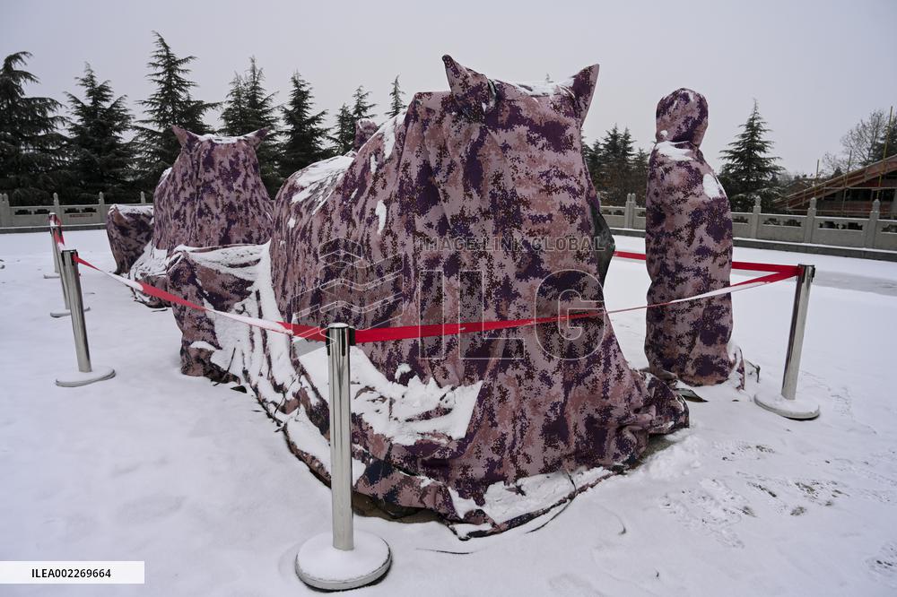 Tang Dynasty Iron Cattle Covered With  Smock in Yongji