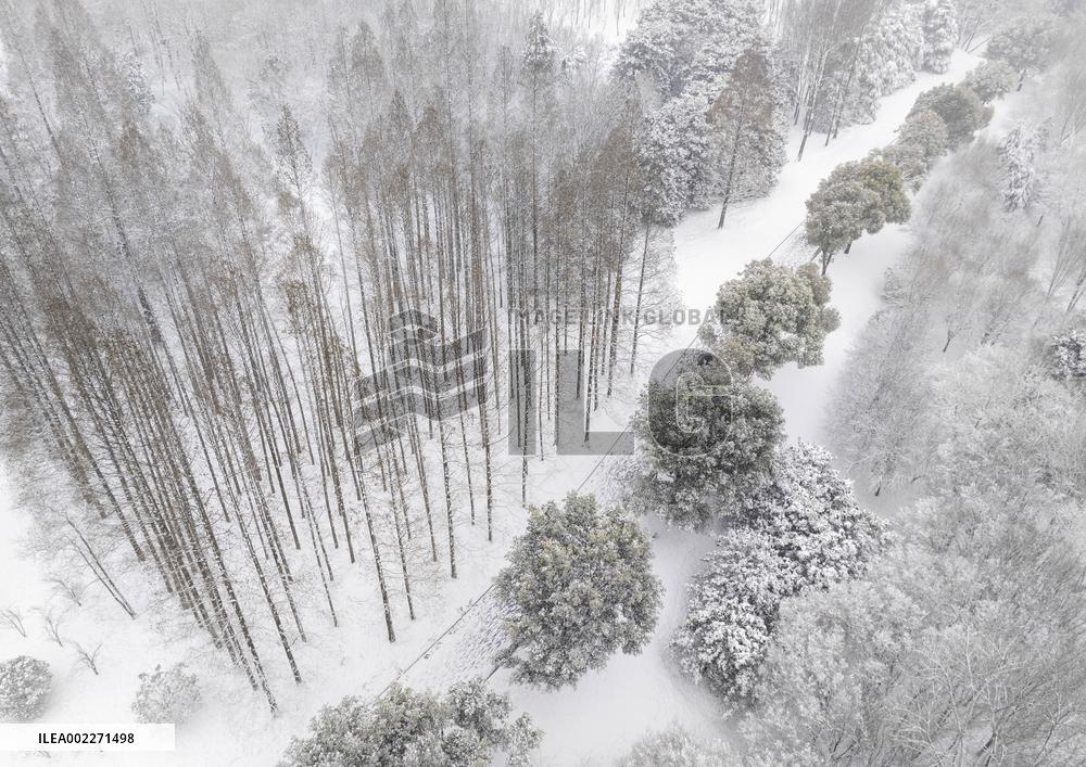 Ancient Yellow River Folk Ecological Park Snowy Scenery
