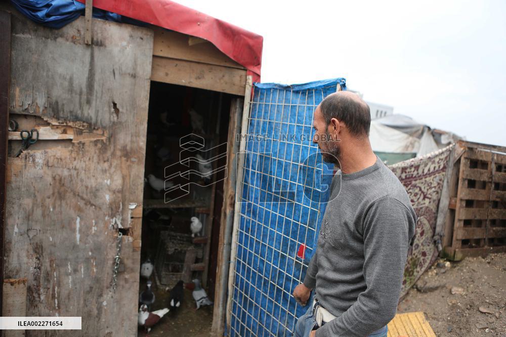 Daily Life on the First Anniversary of the Turkey Earthquake - Hatay