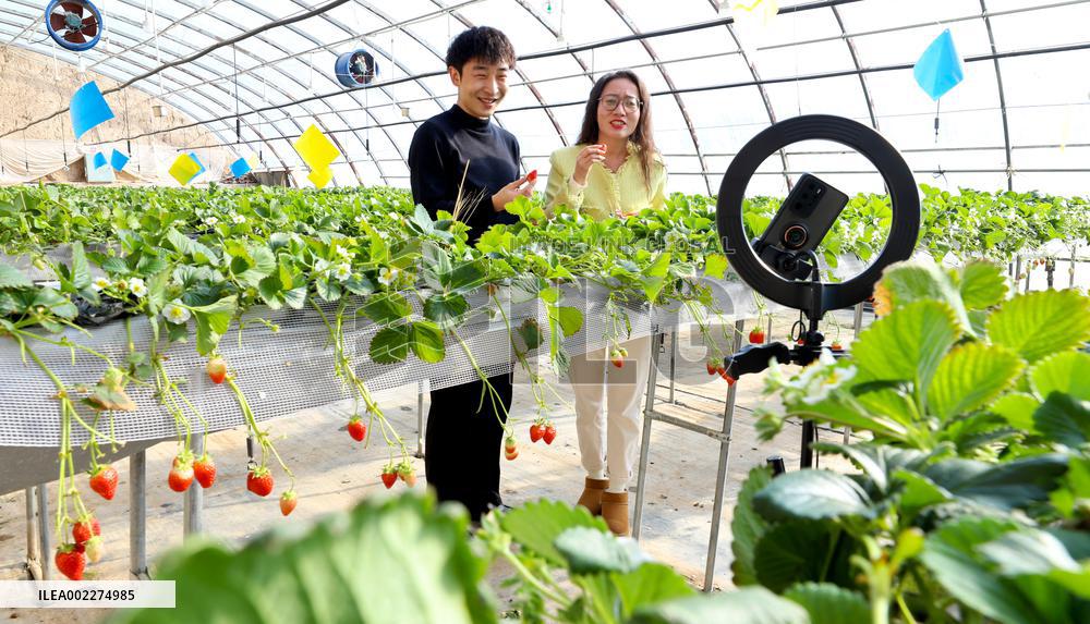 Live Webcast to Promote Agriculture