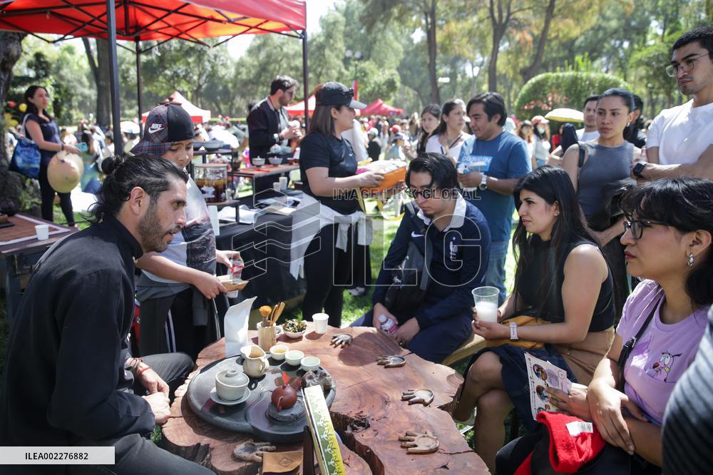 MEXICO-MEXICO CITY-SPRING FESTIVAL-CULTURAL EVENT