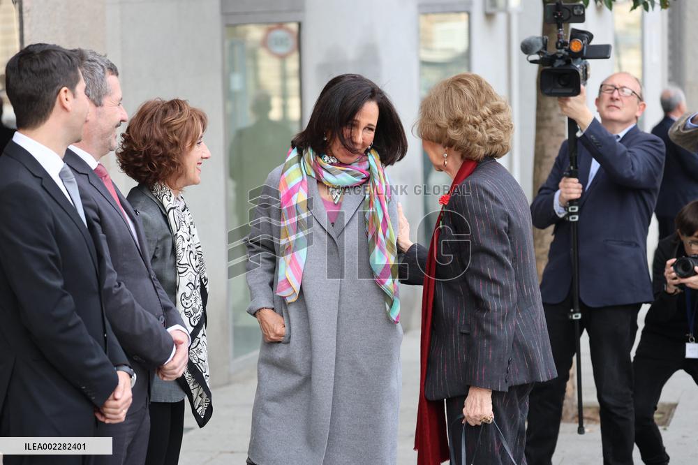 Queen Sofia Attends A Meeting - Madrid
