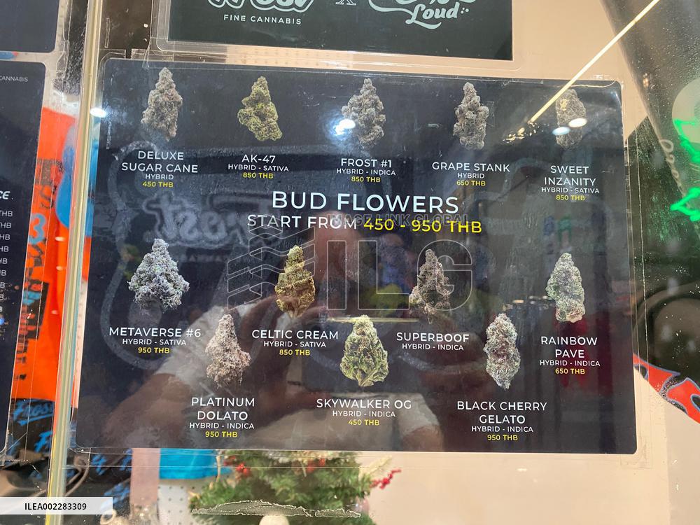 Thailand First Asian Country To Legalize Marijuana