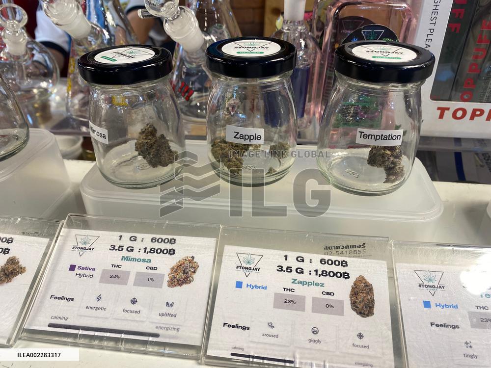 Thailand First Asian Country To Legalize Marijuana