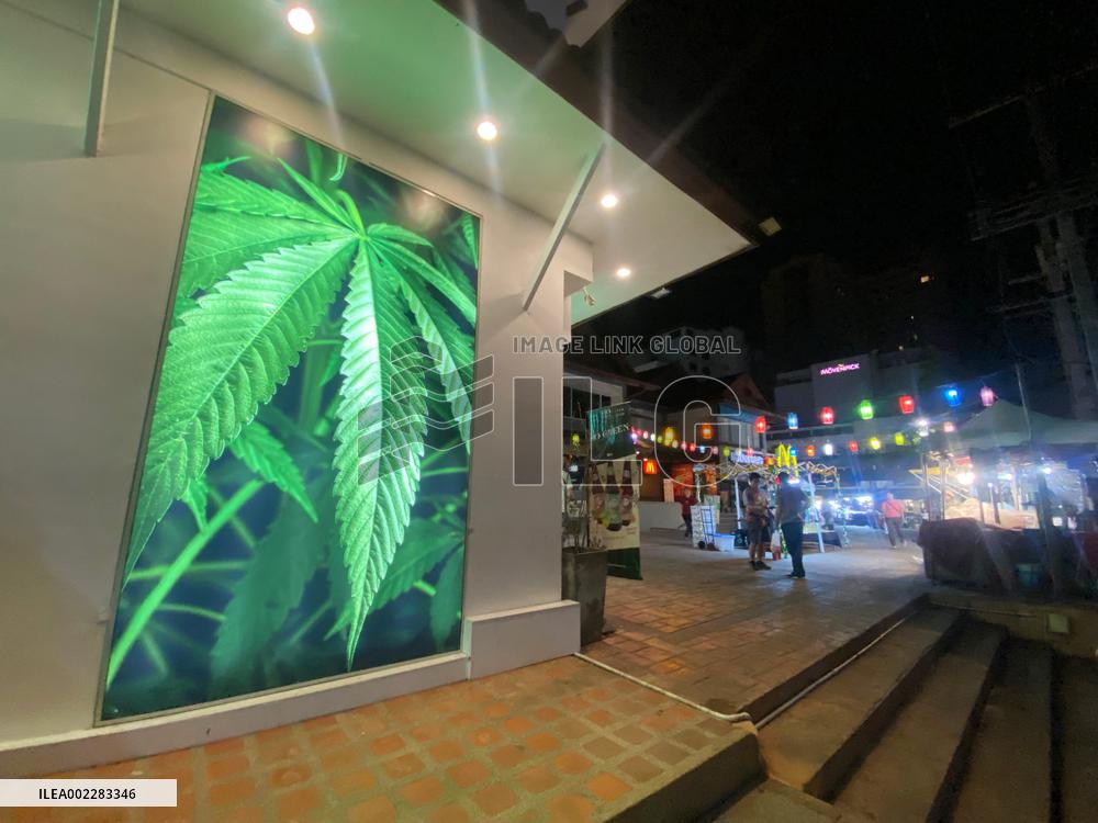 Thailand First Asian Country To Legalize Marijuana