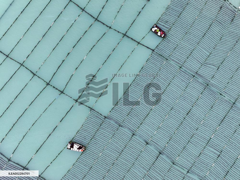 Offshore Production Operations in Putian