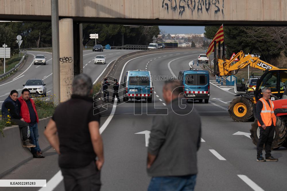 Farmers Join Wave Of Protests - Spain