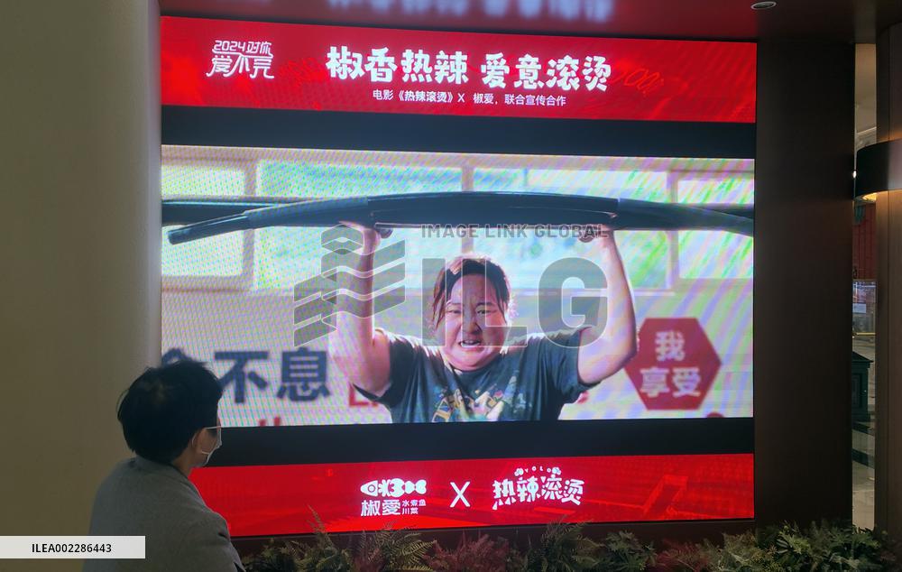 2024 Spring Festival Movie Market