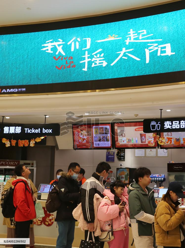 2024 Spring Festival Movie Market