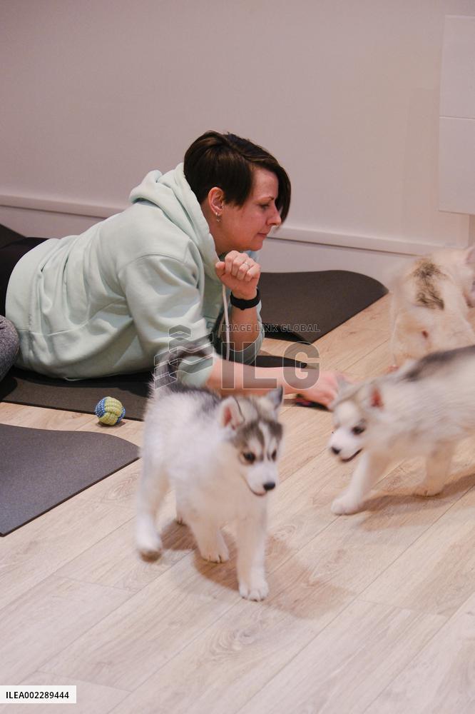 Puppy Yoga Paris classes - Boulogne Billancourt