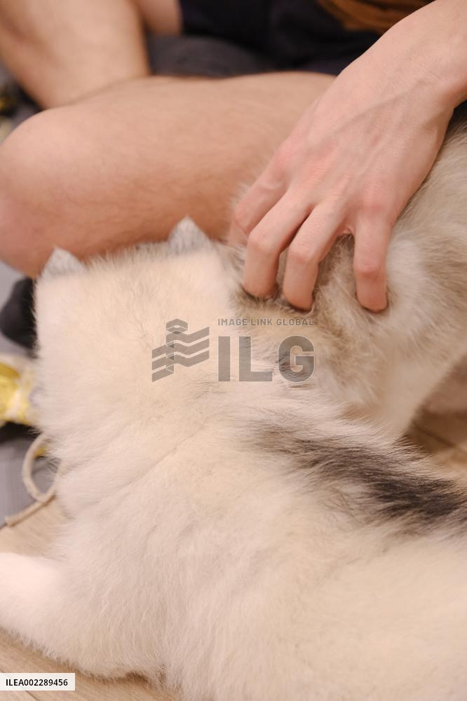 Puppy Yoga Paris classes - Boulogne Billancourt