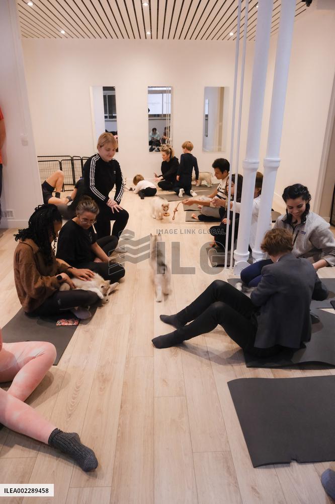 Puppy Yoga Paris classes - Boulogne Billancourt