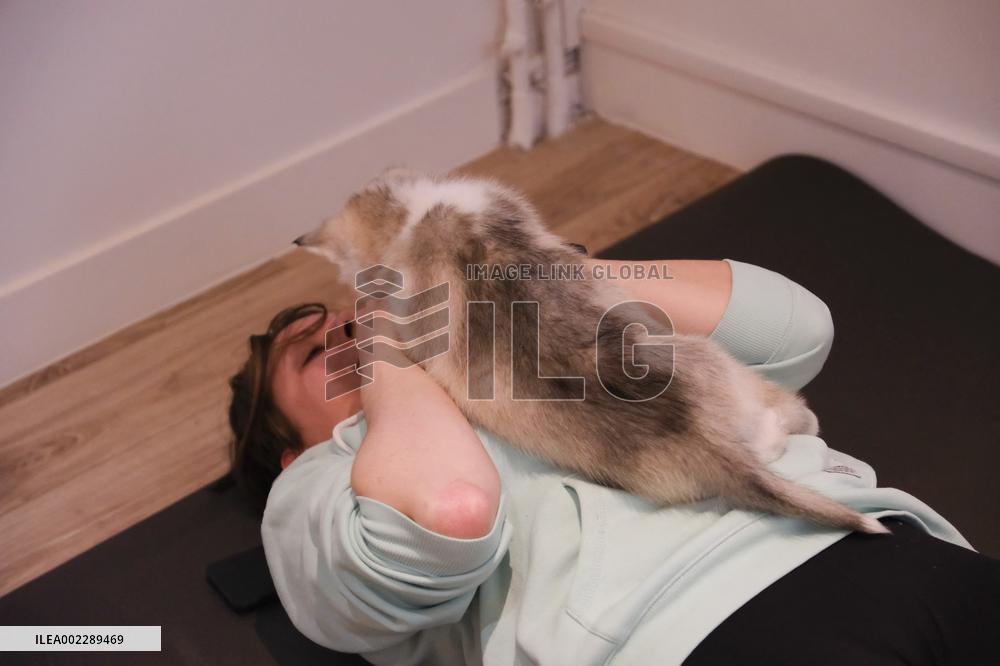 Puppy Yoga Paris classes - Boulogne Billancourt