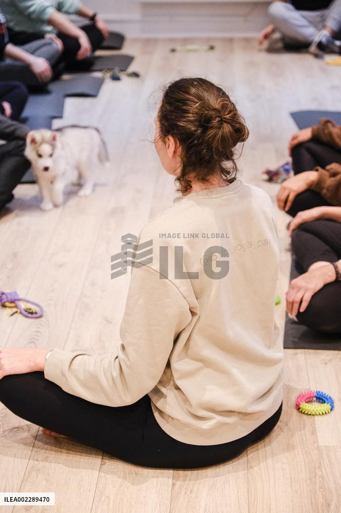 Puppy Yoga Paris classes - Boulogne Billancourt