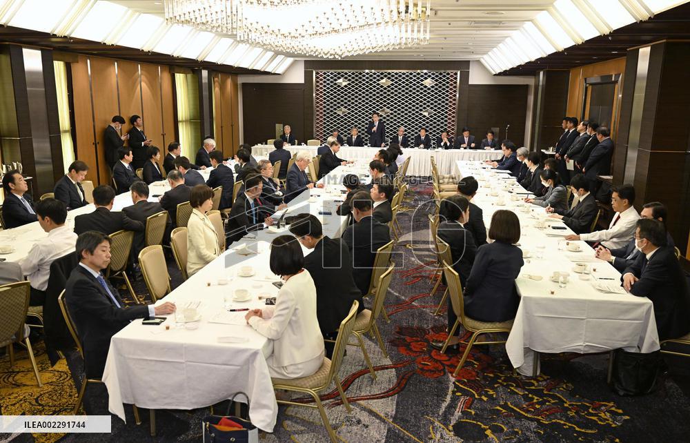 LDP task force meeting for constitutional amendment