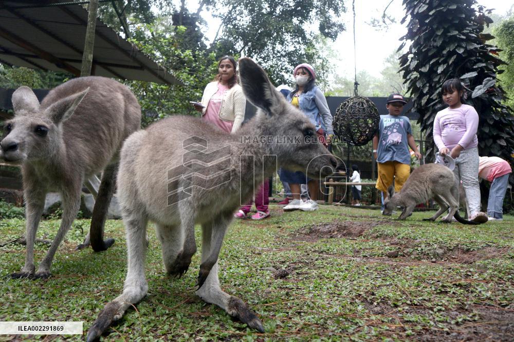 INDONESIA-BOGOR-SAFARI