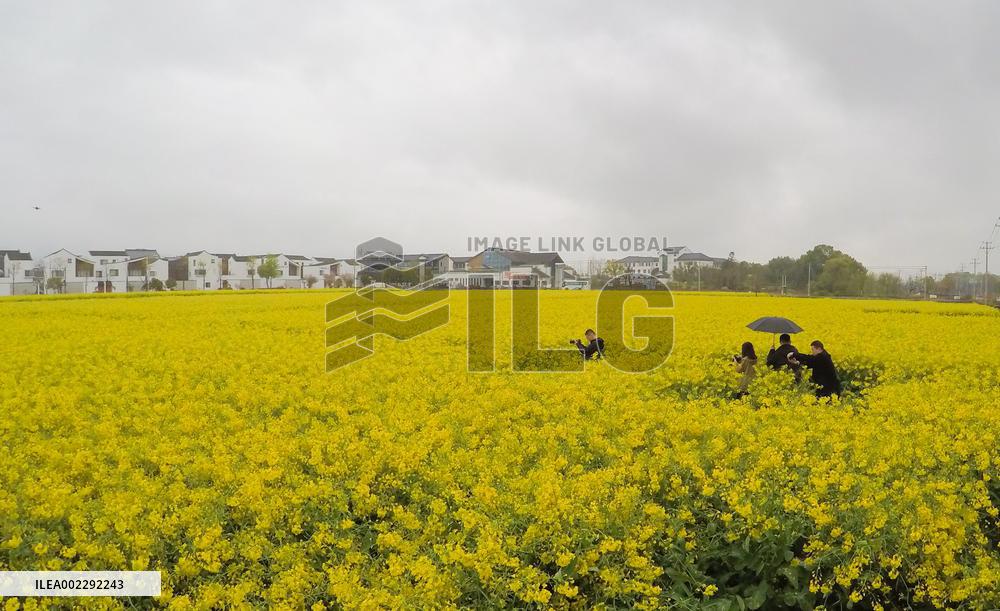 (ZhejiangPictorial)CHINA-ZHEJIANG-TRADITIONAL VILLAGES-PROTECTION (CN)