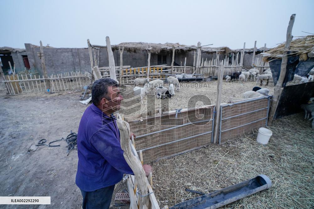 CHINA-XINJIANG-YULI-COTTON-SPRING PLOUGHING (CN)