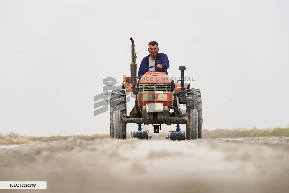CHINA-XINJIANG-YULI-COTTON-SPRING PLOUGHING (CN)