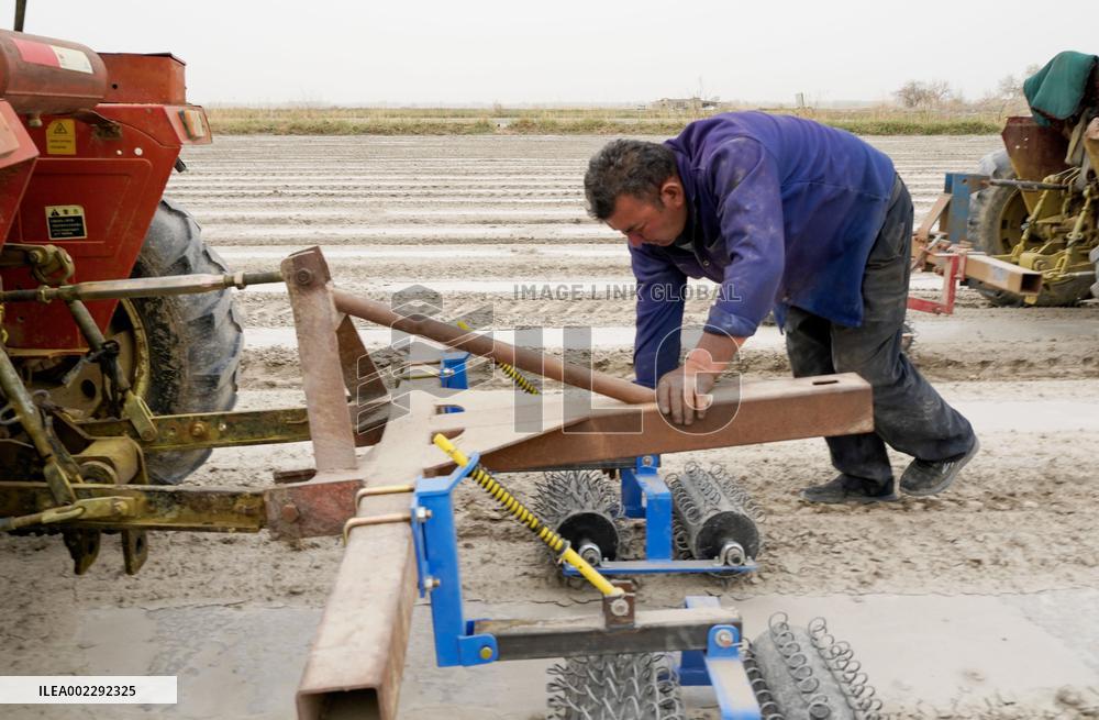 CHINA-XINJIANG-YULI-COTTON-SPRING PLOUGHING (CN)