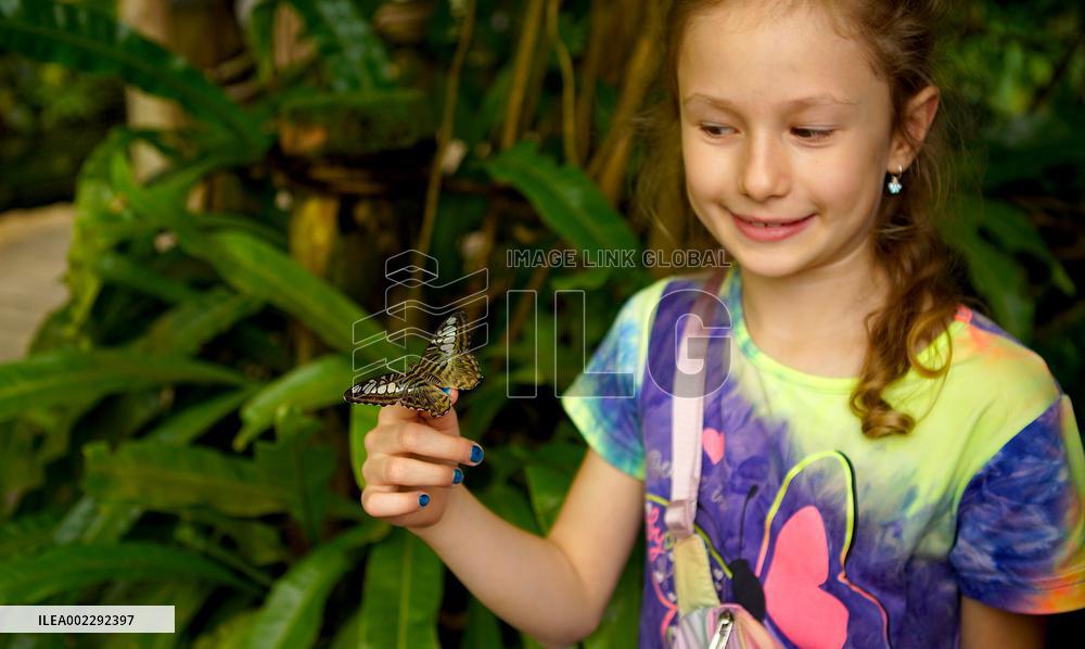 CZECH REPUBLIC-PRAGUE-BUTTERFLY-EXHIBITION