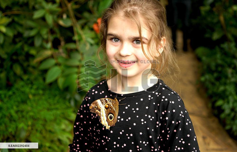 CZECH REPUBLIC-PRAGUE-BUTTERFLY-EXHIBITION