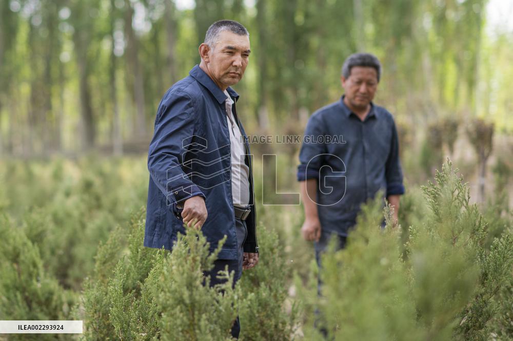CHINA-XINJIANG-YECHENG-CEMETERY GUARDIANS (CN)