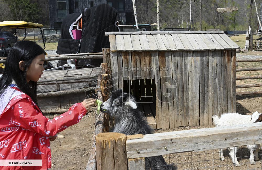 CHINA-MAY DAY HOLIDAY-CULTURAL TOURISM (CN)