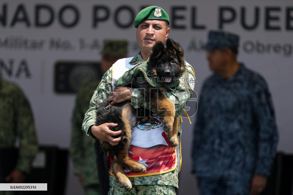 MEXICO-NAUCALPAN-TÜRKIYE-RESCUE DOG