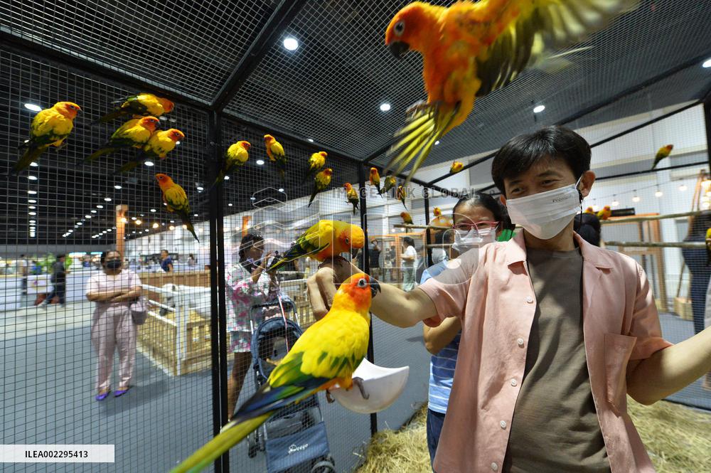 THAILAND-BANGKOK-PET EXPO