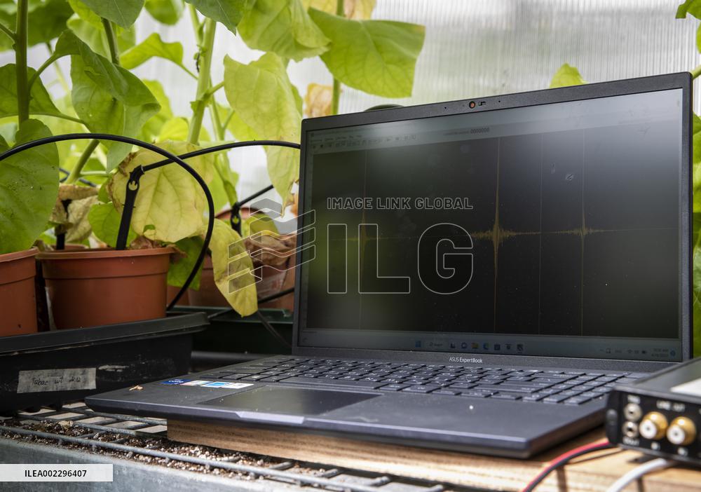 ISRAEL-TEL AVIV-PLANTS-RESEARCH