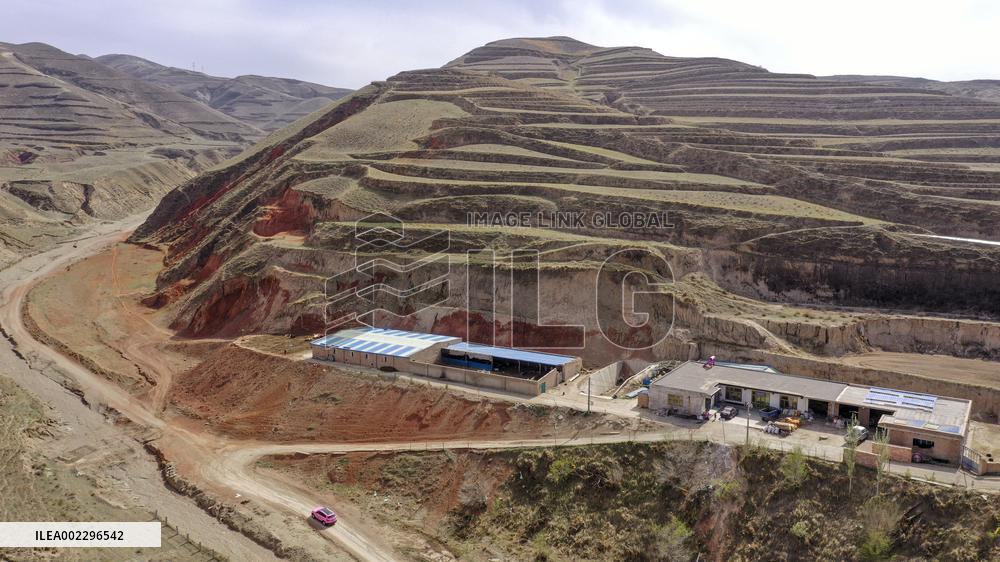 CHINA-NINGXIA-YINCHUAN-FEMALE VETERINARIAN (CN)